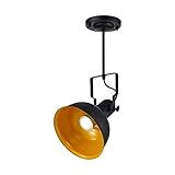 Einbaustrahler mit 1 Licht, industrieller V-Intage, halbbündiger Deckenstrahler, moderne Spot-Lampe, Schienenbeleuchtung, Schwarz/Orange, Wandmontage-Schienenleuchten for Bauernhaus-Balkon-Dekoration