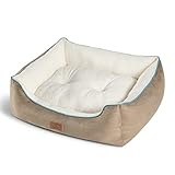 Bedsure Hundebett kleine Hunde Hundekorb - 63x53x20cm Hundekörbchen waschbar für große Katzen oder kleine Hunde, quadratisches kuschelbett mit weich Rand und zweiseitig Innenkissen, Kamel