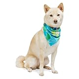 Youly Cool-to-Touch Hundehalstuch, Größe XS/S, Blau