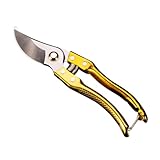 GLEAVI Obstastschere aus Sk5 Stahl 8 Zoll Gartenschere mit Arbeitserleichterung Goldene Astschere für Obstbäume und Gartenpflege