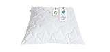 BLUE MOON Aloe Vera Kissen 80x80 Schlafen Kopfkissen Komfort, atmungsaktives Allergiker Kissen, Winter- und Sommer-Kissen 100% Made in EU
