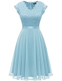 Dressystar Damen Festliche Cocktailkleider V-Ausschnitt Abendkleider Elegant Hochzeit Spitzenkleid 2050 Blue 2XL