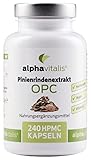 500 mg Pinienrindenextrakt Kapseln mit OPC + natürliches Vitamin C - ohne Magnesiumstearat - laborgeprüft - 240 Kapseln - vegan & hochdosiert