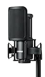 Shure SM4 Studio Recording Mikrofon, XLR Heimstudio Kondensator Mikrofon Optimiert für sanfte Vocals bis zu Lauten Instrumenten mit Mix-Ready Audio - robuste Metallbauweise (SM4-K-KIT)
