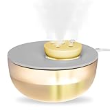 Rainpal 1,2L Mini Luftbefeuchter mit Beleuchtung, 20dB Leise 6-Speed Adjustable Cool Mist Humidifier, 300 ml/H Nebelvolumen mit Filterelement (Grau)