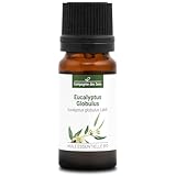 EUKALYPTUS GLOBULUS BIO - 10 ml - Hochwertiges ätherisches Öl - 100 % rein, natürlich, ChromaCert® zertifiziert - Chemotyp & Vollständig