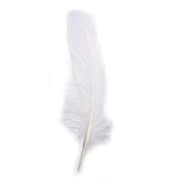 Rayher 85461102 Gänsefeder, 16-20 cm, SB-Btl 8Stück, weiÃŸ, Weiss/Opulenter Garten, White