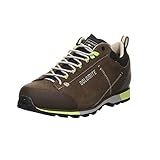 Dolomite Herren Zapato MS 54 Hike Low EVO GTX Wanderschuh, MUD Green/Green, 42.5 EU