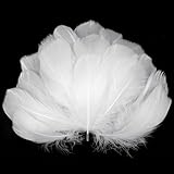 AOOTE Weiße Federn zum Basteln,100 Stück Deko Federn,6~12cm,Natürliche Feder,Weich Federn,Flaumfedern,Feder Handwerk für DIY Ohrring,Kopfschmucksfedern,Traumfänger,Hochzeit,Ostern,Weihnachten