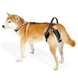 Hunde Hebegeschirr, Verstellbare Hunde Gehhilfe, Reflektierende Hunde Hinterbeinstütze mit Stützgriff für Verletzte Behinderte Kleine, Mittlere und Große Hunde