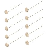 VICASKY 10 Stück Aromatherapie getrocknete Blumen Duft Stöcke Diffusorstab Room Fragrance ätherische öle dekoringe Aroma difusser ziernieten ätherisches Öl Reben Aroma Rattans hölzern Weiß