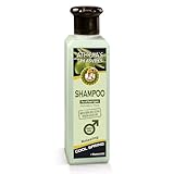 Pharmaid Athena's Treasures Cool Spring Shampoo für Männer, mit Bio-Olivenöl, Vitaminen A und E, Paraben frei, 250 ml
