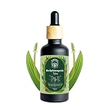 Bio Spitzwegerich Tinktur, 50 ml, hergestellt in Österreich