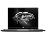MSI Creator Z16 Professional Laptop: 16 Zoll QHD+ 16:10 120Hz Touch Display, Intel Core i7 11800H, NVIDIA GeForce RTX 3060, 32GB RAM, 1TB NVME SSD, Thunderbolt 4, Win10 PRO, Lunar Gray (A11UET-013)