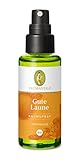 PRIMAVERA Raumspray Gute Laune bio 50 ml - Aromadiffuser, Aromatherapie - motivierend - vegan