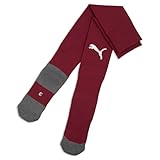 teamLIGA26 Socken Core