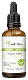 plantrition Vitamin B12 Tropfen - 1250 Tropfen je 100µg - Beide Aktivformen (Methyl- & Adenosylcobalamin) ohne Alkohol, vegan & hergestellt in DE 50ml