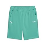 PUMA Herren Standard Mercedes-amg Petronas Essentials Shorts