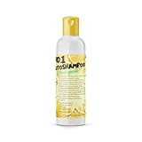 Nr. 1 Autoshampoo Lemon 1000ml - Konzentrat, Intensivreinigung, Autowäsche