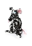 SIGIKID 39609 Schiggi Miggi BeastsTown Ratte für Mädchen Jungen und Erwachsene Kuscheltier empfohlen ab 3 Jahren Schwarz-Weiß/Ratte