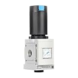 NATEPLALFC Druckreduzierventil Pressure Relief Valve MS4-LFR-1/4-D6-ERM-AS Pressure Relief Valve(MS9-LFR-G-D6-CUV-AG-BAR-AS)