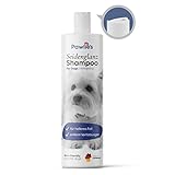 Pawlie's Hundeshampoo Weißes Fell - Aufhellende Fellpflege | Bei Tränenflecken, Vergilbungen & Schmutz | Hundeshampoo Malteser Hund Zubehör, Pudel Shampoo, Shih Tzu, Havaneser Shampoo, Pomeranian