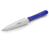 thermohauser Tortenmesser mit beidseitigem Sägen- und Wellenschliff und blauem Kunststoffgriff - rostfreier Stahl - Klinge 16 cm