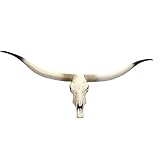 Mendler Deko Kuhschädel HWC-D32AM, Stierkopf Bulle Tierkopf Longhorn Trophäe, Polyresin 103x43x11cm
