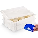 DIE BOX FABRIK 2x Pizzaballenbox Gusto + 1 Deckel, 40x30x7 cm | Gärbox, Teigwanne für Pizzateig. Teigbox für 6 Pizzaballen, Pizzateigbehälter (2x Gusto Box + 1x Deckel)