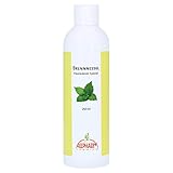 BRENNESSEL HAARWASSER spezia 250 ml