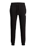 JACK & JONES Male Jogginghose Regular Fit Jogginghose