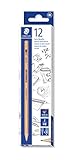 Staedtler Natur Bleistifte, Holz aus PEFC zertifizierten, nachhaltig bewirtschafteten Wäldern, Härtegrad HB, 12 Bleistifte in Kartonverpackung, 123 60-2