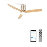 CREATE / WINDCALM M/Deckenventilator ABS mit Beleuchtung Nickel Hellesholzflügel-Optik mit WLAN und Fernbedienung / 40W, Leise, Ø132cm, Timer von 1 bis 4 Std, Sommer-Winterbetrieb