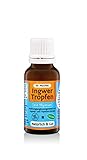 Ingwer Tropfen mit Thymian Dr. Muches | Doppelte Pflanzenkraft: Thymol + Gingerole | Sofort bioverfügbar | Vegan und in Bio-Qualität | 1x20 ml