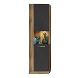 trendteam smart living - Vitrine Schrank Wohnzimmerschrank - Wohnen - Rock - Aufbaumaß (BxHxT) 52 x 186 x 34 cm - Farbe Wotan Eiche mit Matera - 182613148