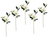 Flair Flower Helleborus Christrosenzweig 5er Set Kunstblume Seidenblumen Floristik Einzelblume Stielblume Einzelzweig Stiel Kunst-Stielblume Dekoblume Blumen Blumendeko,021114CR,Creme,57x12x5 cm