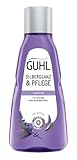 Guhl SILBERGLANZ UND PFLEGE Shampoo 50ml