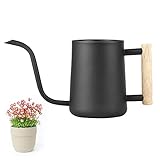 LAISHUNHE 1L Gießkanne Indoor Giesskanne Edelstahl Gießkanne Klein Gießkanne für Zimmerpflanzen Sukkulenten Mini Gießkanne Schwarz Gartengießkanne Blumengießkanne 34Oz