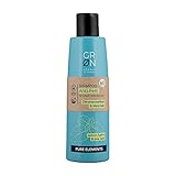 GRN shades of Nature [GRÜN] Biokosmetik Shampoo Anti-Fett - Meersalz & Bio-Zitronenmelisse - für schnell fettendes Haar - vegan, 250 ml