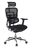 hjh OFFICE 652111 Profi Chefsessel ERGOHUMAN ergonomischer...