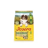 JOSERA Adult Ente & Kartoffel (1 x 3 kg) | Premium Trockenfutter für ausgewachsene Hunde | getreidefrei | Immune Plus für EIN intaktes Immunsystem | Biotin und Fettsäuren für Haut & Fell | 1er Pack
