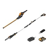 Worx 18V (20V MAX) Akku Teleskop Heckenschere & Hochentaster WG908E: PowerShare, 2,0 Ah Akku, Dual-Schnittklingen, automatische Kettenspannung, automatische Ölschmierung, inkl. Schnellladegerät