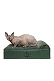 NOAH & PAW Kleines Hundebett, 50,8 x 38,1 x 20,3 cm, Katzenbett für Indoor-Katzen, orthopädischer Eierschalen-Memory-Schaum mit Kühlgel, wasserdicht, maschinenwaschbar, inklusive Innenbezug (veganes