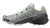 Salomon Speedcross 5 Damen Trail Running Schuhe, Grip, Stabilität, Passform, Wrought Iron, 39 1/3