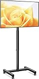 AM alphamount TV Ständer TV Bodenständer für 13-50 Zoll Flach & Curved Fernseher bis zu 20 KG, Monitor TV Stand mit Neigung, Höhenverstellbarer TV Standfuss Max. VESA 200 x 200 mm