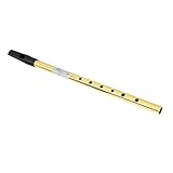 Generic Irish Tin Whistle, 6 Löcher Pfeife mit Präzise Tragbare Musikalische Windanpassung für Anfänger (C Melodie)