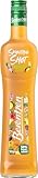 Berentzen | Smoothie Shot Tropical Flirt | 50% Fruchtgehalt* | Samtige Konsistenz | Mit dem Geschmack von Passionsfrucht und Mango| Perfekt als Shot, auf Eis oder als Aperitiv | 0,5L | 15% Vol.