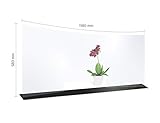 reflecto Schutzwand ‚Curved‘ | bis zu 148 cm breit | Premium Nies- und Spuckschutz mit schwarzem Standfuß | Thekenaufsatz mit/ohne Durchreiche gegen Tröpfcheninfektionen (118x58cm, mit Durchreiche)