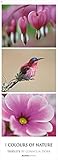 Colours of Nature - Triplets 2022 - Streifenkalender XXL 25x69 cm - Bildkalender im Hochformat - Naturkalender - Wandkalender - Wandplaner: Streifen Naturkalender - - Wand-Kalender