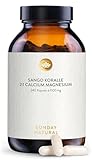 SUNDAY NATURAL® Sango Meereskoralle Kapseln - 240 Kapseln - 660mg Calcium hochdosiert & 330mg Magnesium im 2:1 Verhältnis - Premium Sango Koralle aus Japan - Laborgeprüft, ohne weitere Zusätze